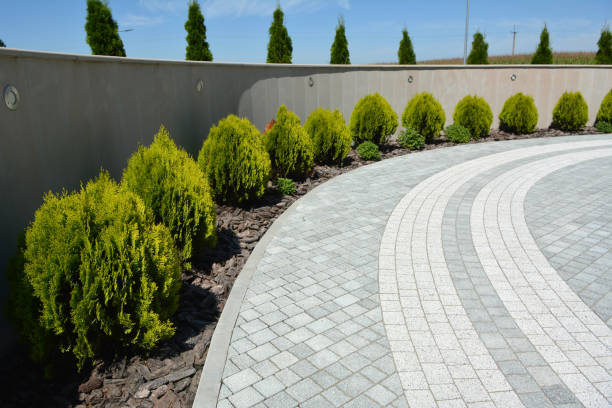 Best Decorative Driveway Pavers  in Pine Mountain Lake, CA